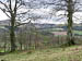 The West end of Witch Wood 