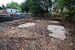 Concrete and Clay 