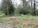 Witch Wood 