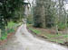 Witch Wood's Drive 